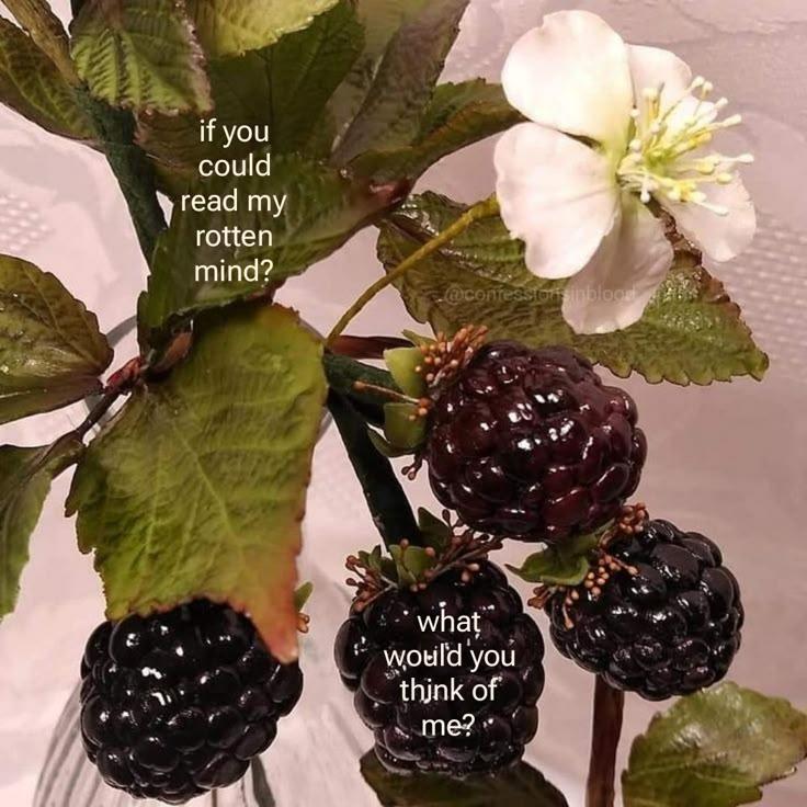 Wholesome Berry Harvest: Country Garden Picks